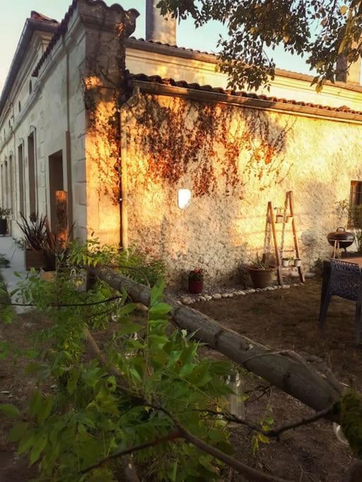 Апартаменты Gite A La Ferme Chaleureux Civrac-de-Blaye Экстерьер фото